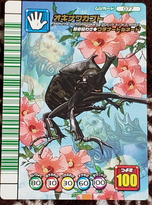 沖縄方言のtwitterイラスト検索結果 古い順