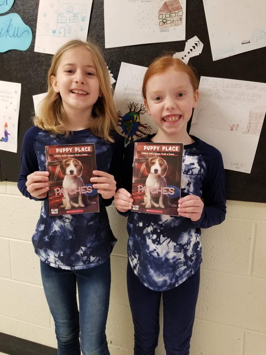 Series Reading Twins