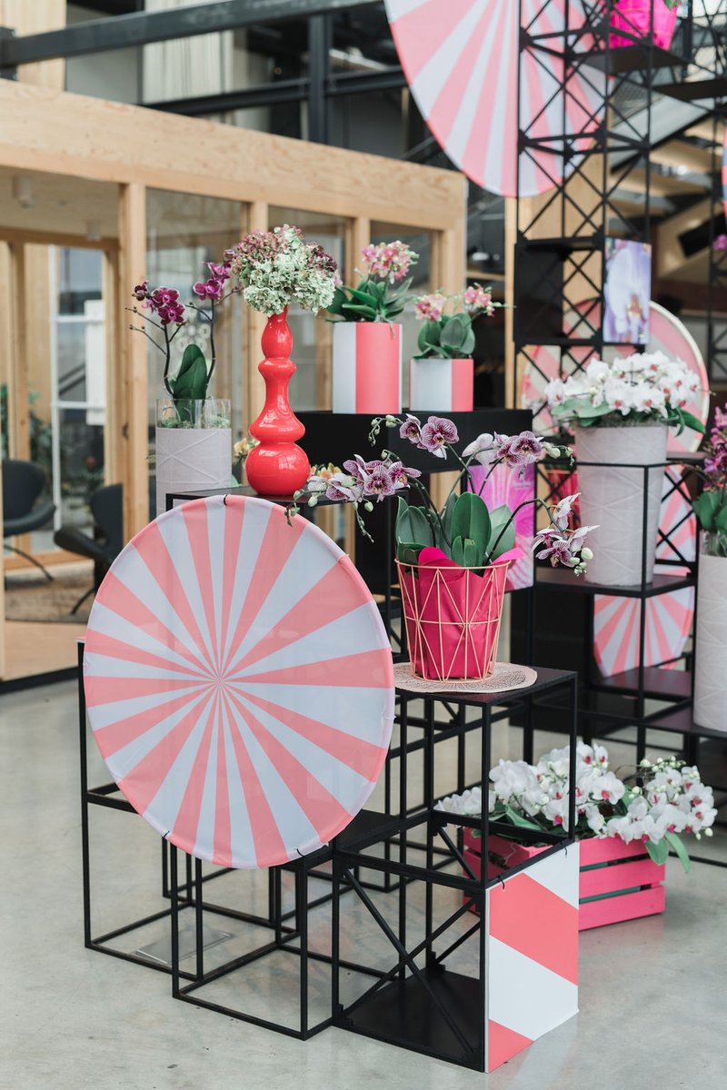 Welcome to the ‘Circus of Orchids’; the new theme of Breeders Identity! We take you on a journey through our colourful #show, will bring you fun and make you feel attracted to this amazing new #varieties. Be surprised by this #performance! <a href="/AnthuraBV/">Anthura</a> <a href="/FloriculturaBV/">Floricultura BV</a> <a href="/SionOrchids/">Sion</a>