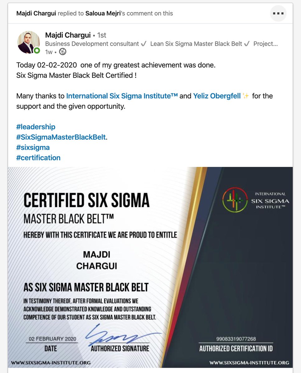 lean six sigma institute