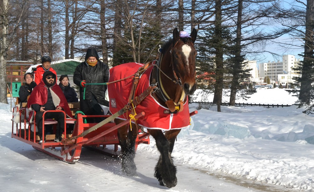 馬車bar 公式 さんはtwitterを使っています コマちゃんの馬ソリの様子が地元の新聞社の記事なりました 緑ケ丘公園で馬そり観光 旅サポモニターツアーで初企画 十勝毎日新聞社 T Co Qfe81ekvpt T Co 7pqqbevu0j Twitter