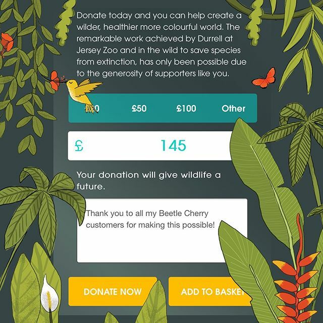 CDesignWild's tweet image. THANKS EVERYONE 🎉 So delighted that my closing down sale means I can donate another pot of money to the amazing conservation and rewilding work of @durrell_jerseyzoo I can’t thank you all enough for buying every last item I had and helping to make th… ift.tt/2Hg2uWZ