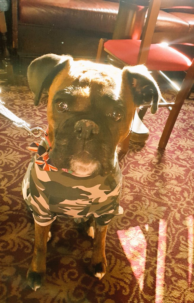 PubDogLE2's tweet photo. I'm Having A Real Treat Cus I Been A Good Girl Recovering From Massive Surgery 
Coffee @BlackHorseLE2 
Lunch @SBTheRailway 
Oooo Yeah, My Favourite #pubs 
#boxersoftwitter #dogfriendly #Leicester #ukpubs https://t.co/dGBPyaRTCN