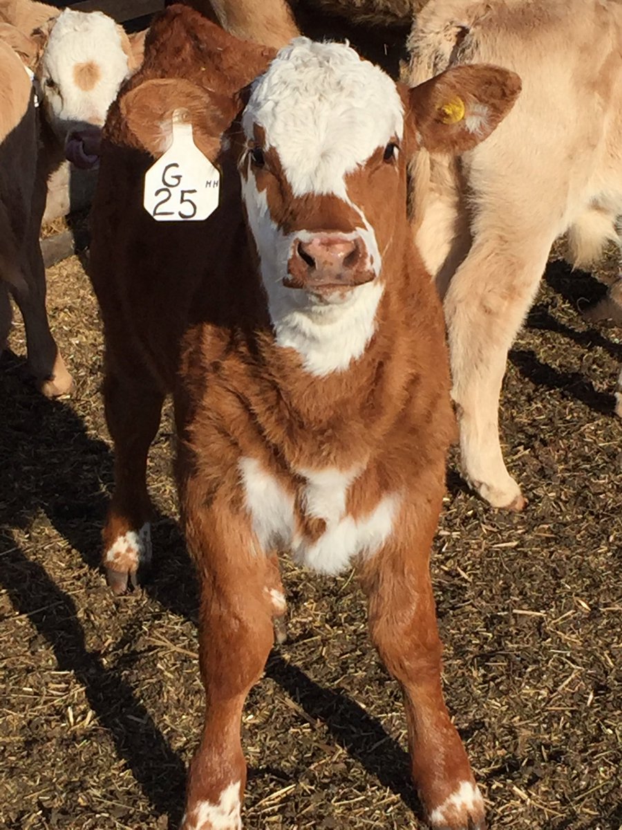 And even more smiles that make #CdnAgDay #CdnAg happen.....