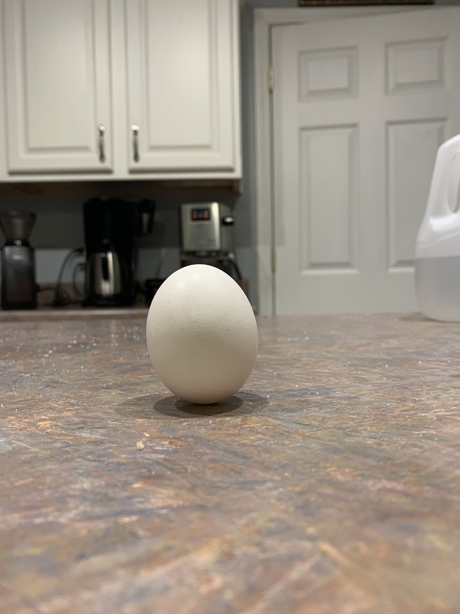 TonyCorsoImages's tweet image. Which came first...the broom or the egg? #nasachallenge @wfaa @wfaaweather