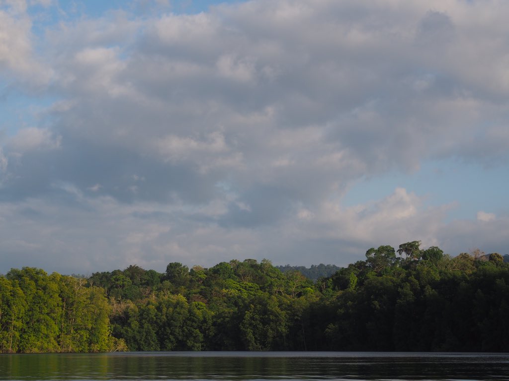 Carnetssacados's tweet photo. #COSTARICA 📍#BahiaDrake 

Les #paysages en direction de Bahia Drake sont splendides... ça laisse présager de belles découvertes ! https://t.co/ob9RZHGIL0