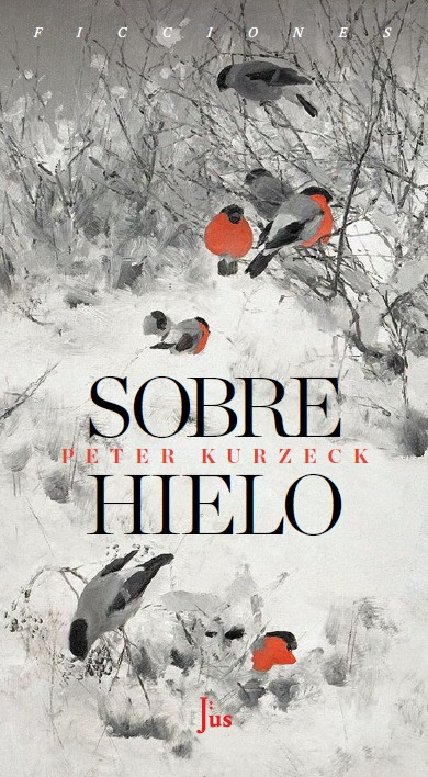 Hace muchos años que es invierno... <a href="/franciscapageo/">Francisca P</a> reseña la espléndida novela "Sobre hielo" de Peter Kurzeck, editado por <a href="/JusEdic/">Jus Ediciones</a>. diarios.detour.es/literaturas/pe…