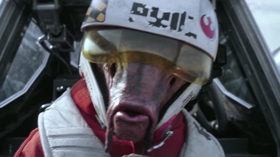 the one alienpretty much the only alien starfighter pilot in the resistance for some reason? his name is a play on a beastie boys song