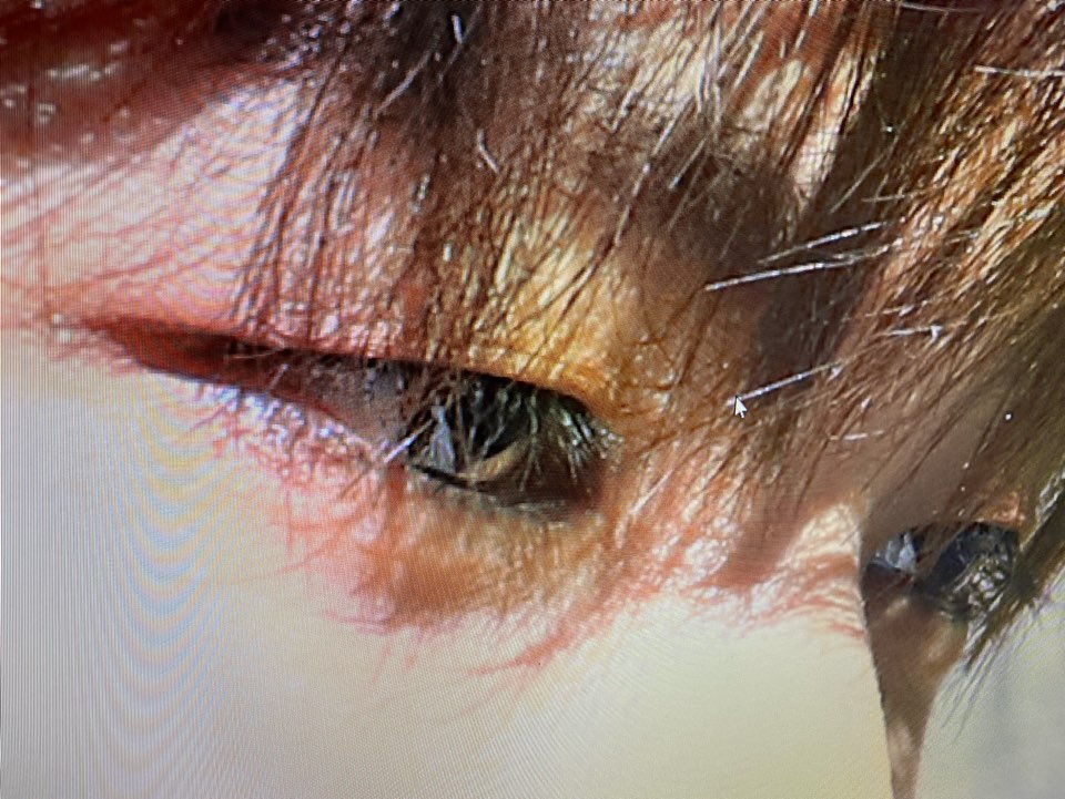 DIA_CRUNCH's tweet photo. [#현오] 누구의 눈 일까요?! 
#포토바이혀노 #우리디아나 #사랑해요 https://t.co/zFvLESrJy9