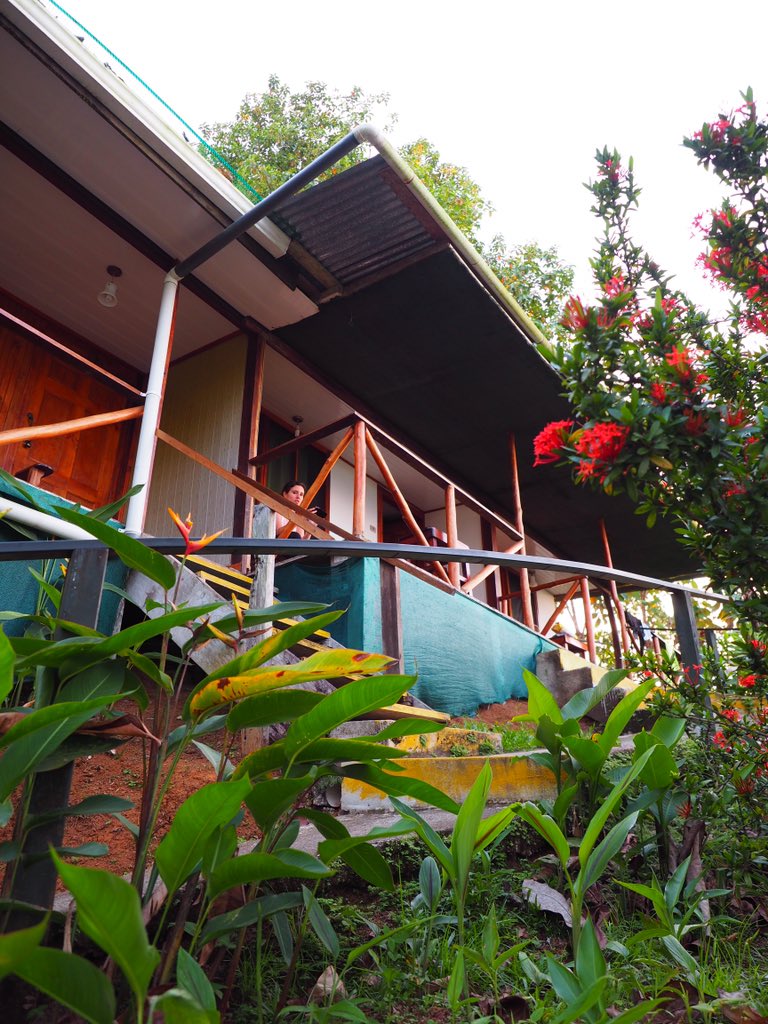 Carnetssacados's tweet photo. #COSTARICA 📍#BahiaDrake

Bien arrivée à la #cabinas Murillo pour quelques nuits. L’endroit est très chouette, dans la #nature avec le bruit des #oiseaux et une #vue sur la #baie de Drake https://t.co/qTCs9SeYOq