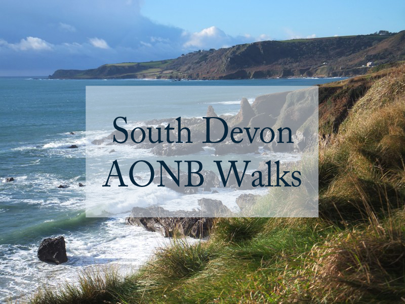 visitsouthdevon's tweet photo. Discover @SouthDevonAONB's new walks, perfect for exploring this incredible landscape! 😍

https://t.co/ZaKtp4dzyD

#SouthDevonAONB #AONB #Walks #Active #SouthDevon #OutstandingHour #Devon https://t.co/RKmUvlePji