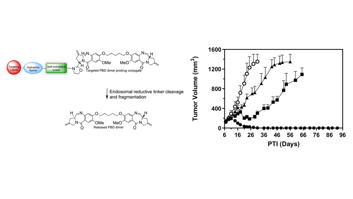 MI_mAbs's tweet photo. To avoid toxicity of #pyrrolobenzodiazepine #IVlahov et al made a pro-PBD2 #prodrug that becomes active inside target cells; subnanomolar activity + good specificity when conjugated to folate. What about in an #antibodydrugconjugate? #BioorgMedChemLett | https://t.co/eDRVRJywat https://t.co/yTpZct0RGM