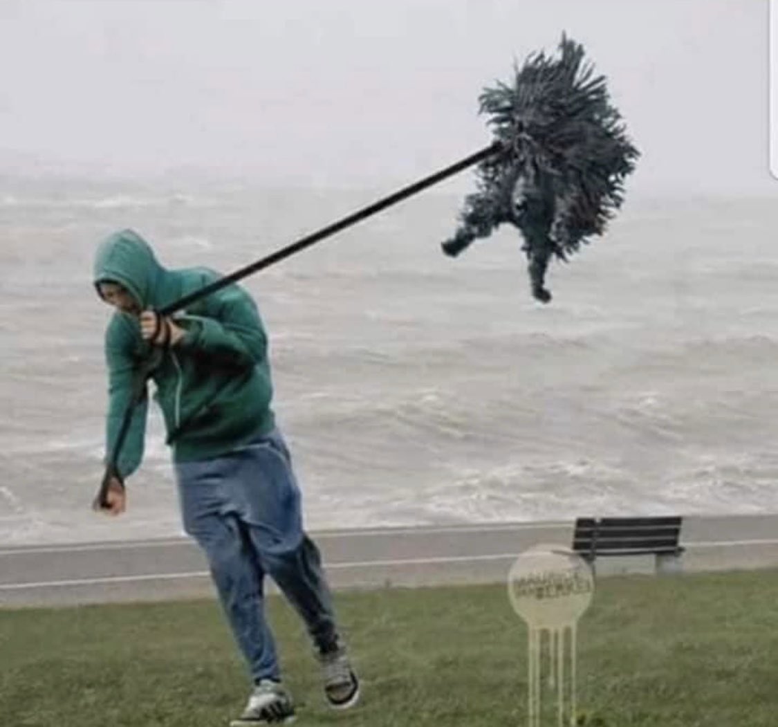 Just taking the dog for a quick walk