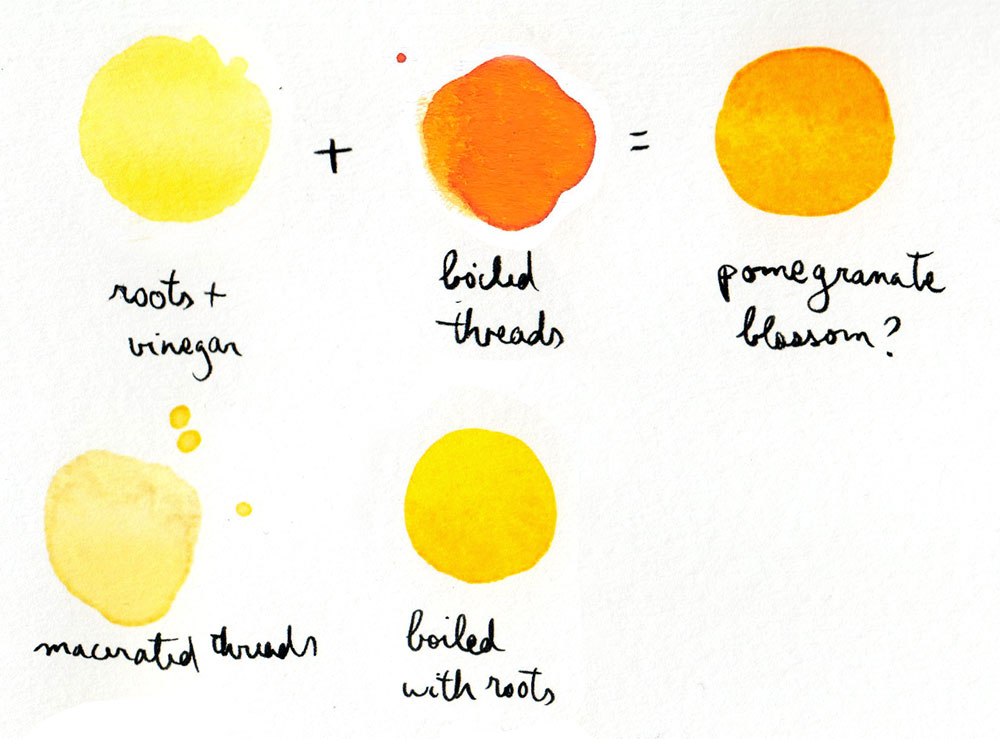 The result after straining/mixing is very pleasing, but more on that in a bit. The different results are very instructive. Vinegar pulls a lemon yellow from the roots. The threads on their own yield near-red. Boiled with roots, the hue is golden-yellow. Maceration alone is weak.