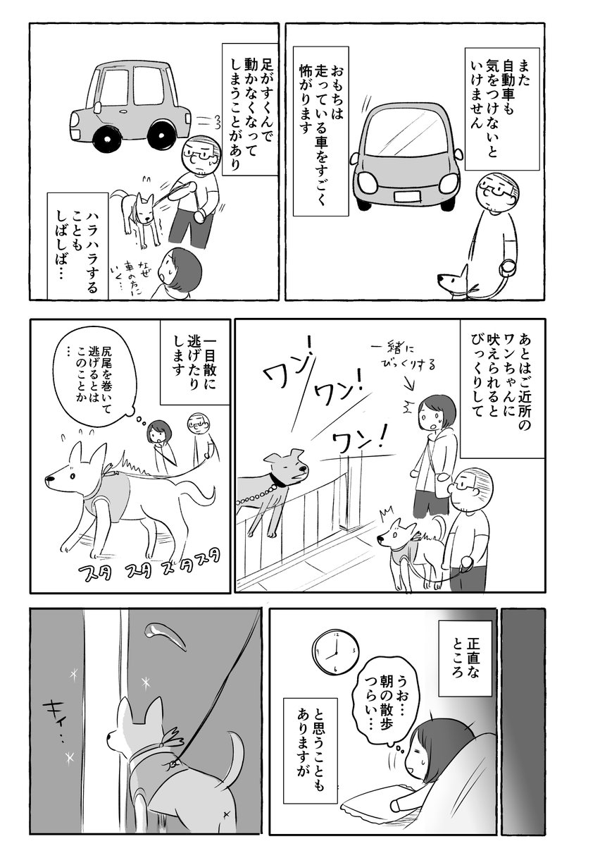 日夏たね 通販始めました در توییتر 不定期更新 漫画家夫婦が保護犬をお迎えした話 おもちの散歩の話 おもち おもち漫画 雑種犬