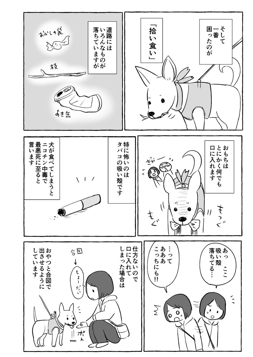 Twoucan おもち漫画 の注目ツイート イラスト マンガ コスプレ モデル