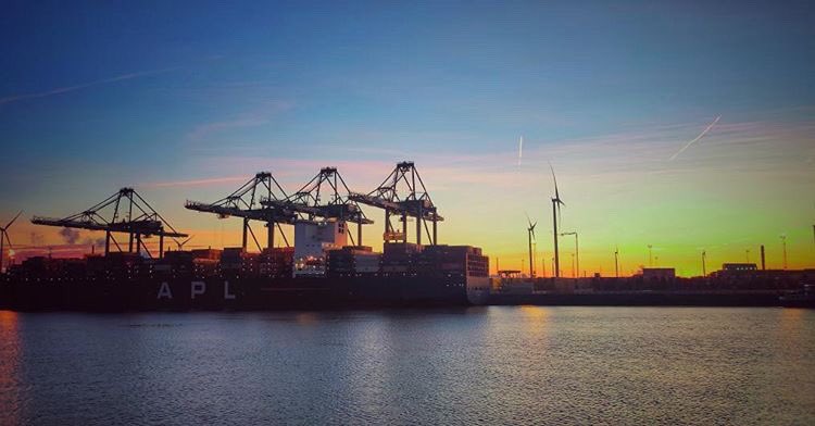 We love this photo of Antwerp Gateway port at sunrise!

Thanks for the pic <a href="/Mega_Verma/">ADARSH VERMA</a> 📸

If you’d like to share your amazing photos of life at sea with us, please dm us.

Safe travels all!

#Antwerp #port #sailorlife #merchantnavy #sunriseatsea