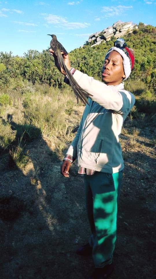 Mokgatla_Mora's tweet image. For all your Biodiversity studies: Biomonitoring #SASS5, Wetlands, Avifauna, Fauna, Flora and Biodiversity Management Plans.
Contact us for a quote.
Email: info@moraecological.co.za
Phone: 0814103763
#EIA