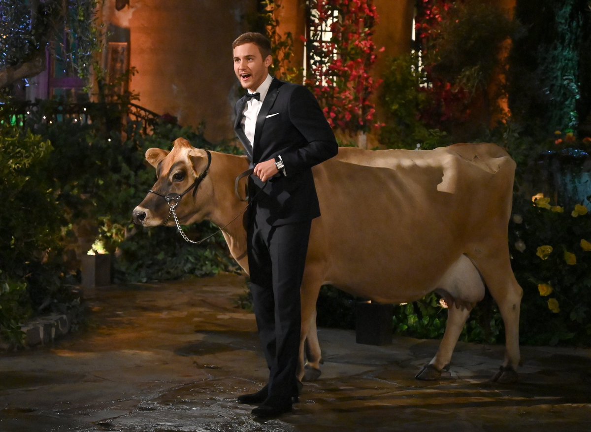 therealDBcoop's tweet photo. SPOILER: I can confirm the theory surrounding Peter’s season; he’s in fact engaged. Cheers to the happy couple and many blessings! #TheBachelor https://t.co/yGz0RbRcZU