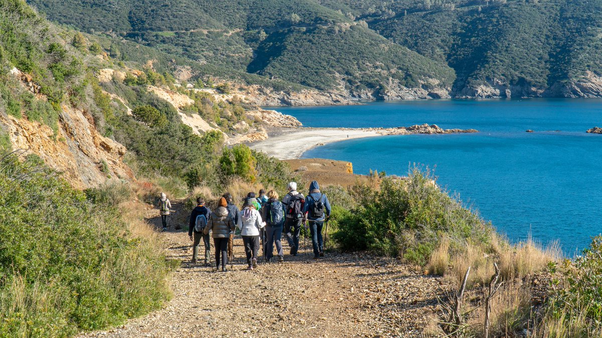 viaggidelgenio's tweet photo. 🌍Viaggi del Genio è un tour operator con sede all’isola d’Elba, il nostro nome è dovuto ad una scoperta archeologica: un piatto etrusco... qui trovate la nostra storia #turismo #turismosostenibile #activetraveltuscany #tuscanyadventuretimes https://t.co/wwFNaIUZOr https://t.co/SUcB4VZ6Oc