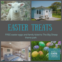 Hartland Peninsula tweet media