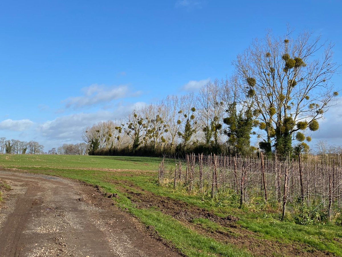 Storm Ciara May have come and gone but this beautiful view will still be here May 24th for the Crocodile 8, come and see it for yourself, bring the family and make a day of it!
Go on, you know you want to!!!😃🐊