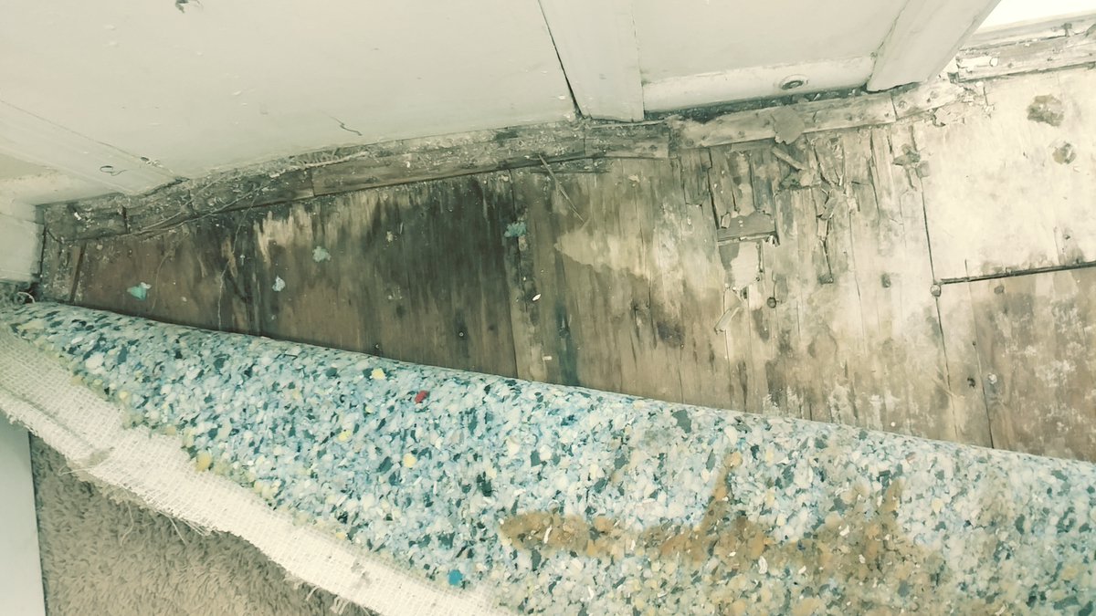 moldadvisor's tweet photo. How to find and remove subfloor mold. https://t.co/wu1aNPimS3 https://t.co/fcBbnluR8J