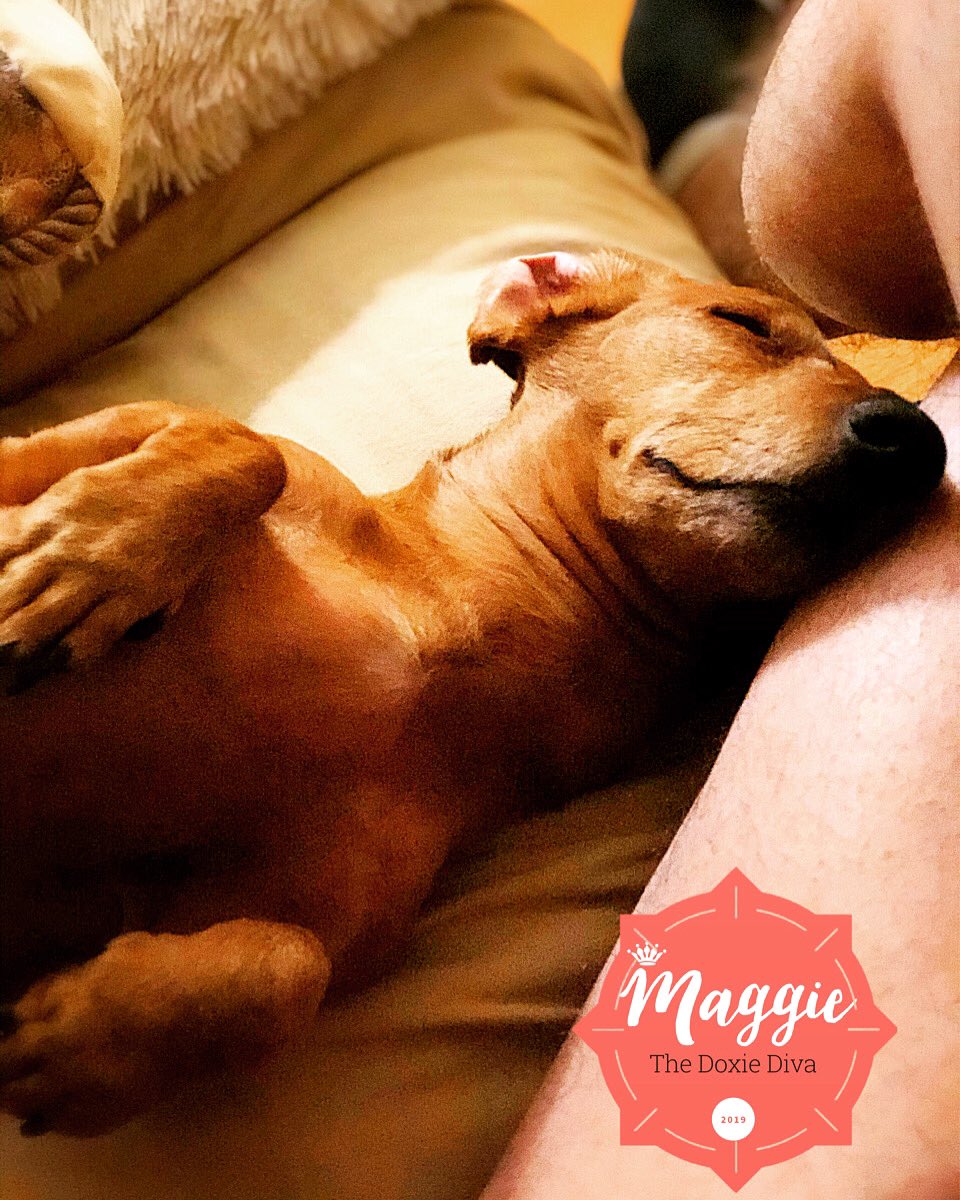 MastersRoth's tweet image. 