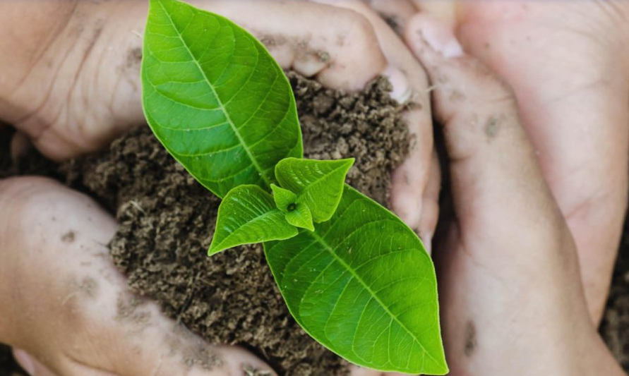 JECComposites's tweet photo. Are you interested in carbon neutrality?
@3AComposites annonces the first carbon-neutral core material !
Discover it: https://t.co/5qv52T2Wk6
#Composites #Innovations #JECWorld #CoreMaterial https://t.co/WIWHnr4Rto