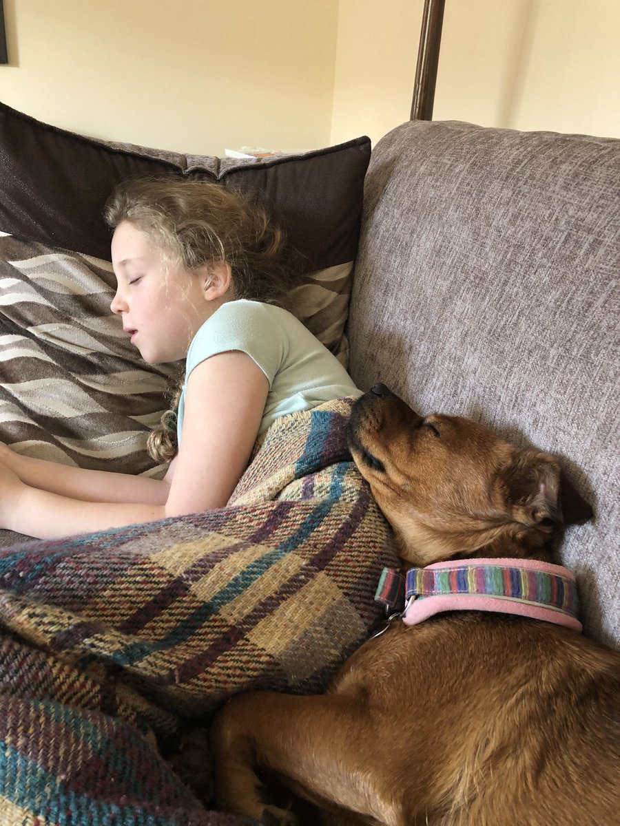 Poorly #humansister today. So I am doing my #therapydog job at home by making sure she has lots of love. #patdog #poorly #love #feelingrubbish #doglookingafterhuman #animalfamily