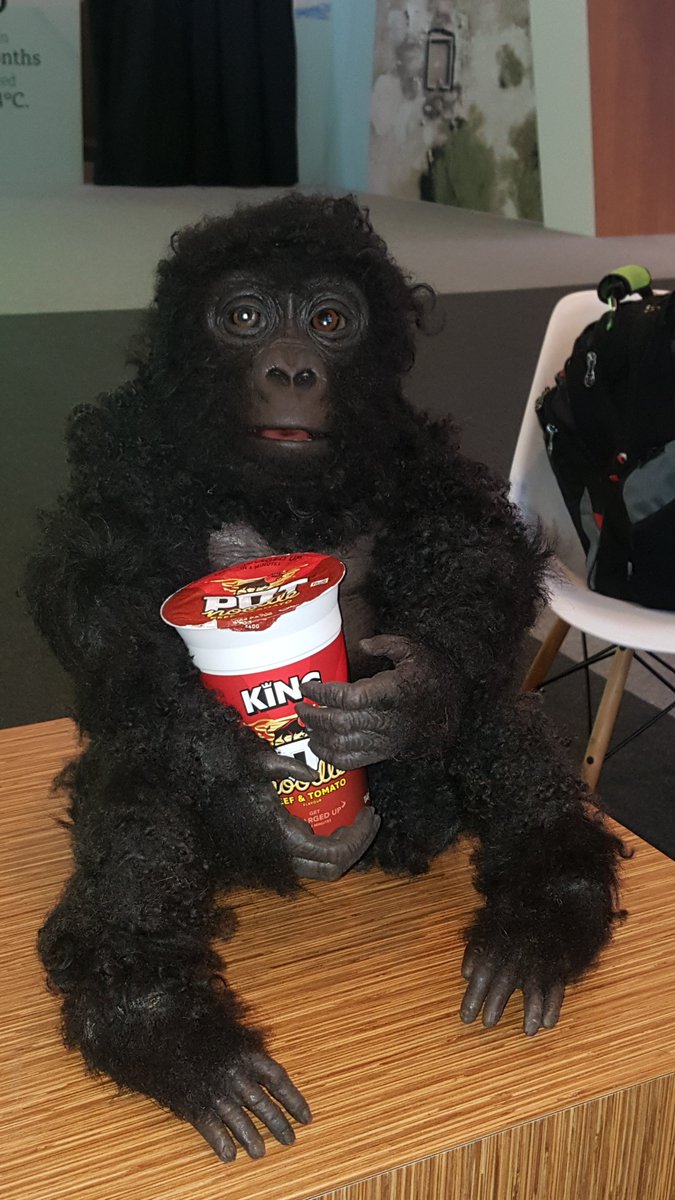 JohnNCowley's tweet image. Baby Mountain Gorilla takes a lunch break during filming of "Spy in the Wild"
#bombaybadboytour #potnoodle