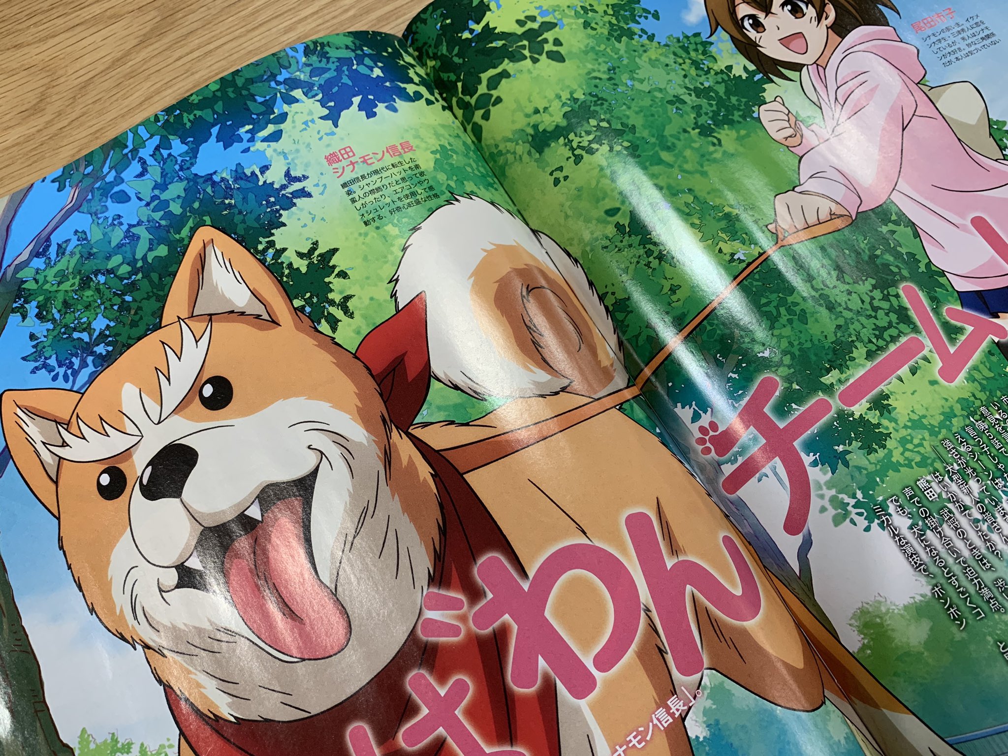 ニュータイプ編集部 Webnewtype No Twitter 発売中 ニュータイプ3月号掲載 織田シナモン信長 Oda Shinamon 特集は 堀内犬友 さんと 熊田茜音 さん飼い犬 飼い主対談インタビューです 版権イラストは元気に走るシナモン 可愛い姿をぜひお手元で