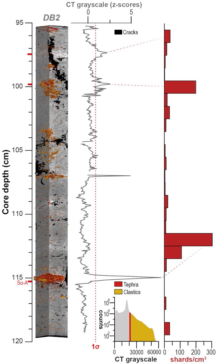 Willem van der Bilt tweet media