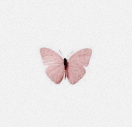 julia b's "For a caterpillar to become a butterfly it must change. Likewise, nothing in our human world is permanent. Some things go and are replaced by new ones. Sometimes we have to let the old go so that the new can come."new beginnings.JuliaB Blessed2020