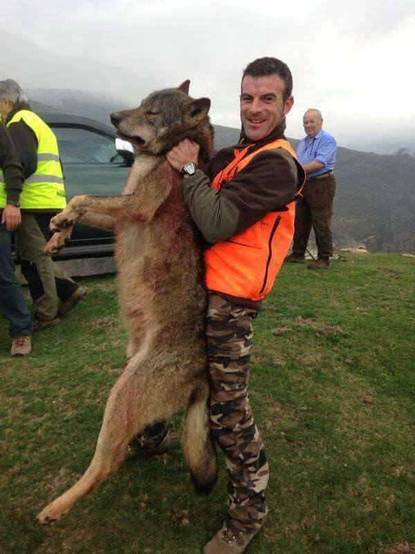 anaatopuk's tweet image. C&apos;est un connard qui a tué un loup majestueux qui ne sait pas qu&apos;ils sont en danger d&apos;extinction 

partager pour qu&apos;on regarde le visage de cet idiot.