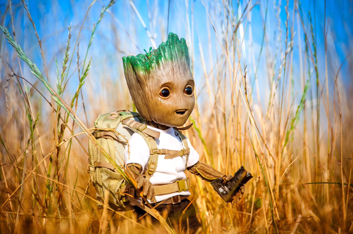 BatJu75's tweet photo. Hello Shunshine 2/2

#jaipasfinidejouet
#helloshunshine #groot #MARVEL #Disney #bbgroot #toyphotography #photography #photooftheday #hottoys https://t.co/ZlWuhdGDZD