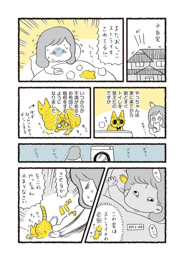 ねこのおしっこストライキに苦戦した話 