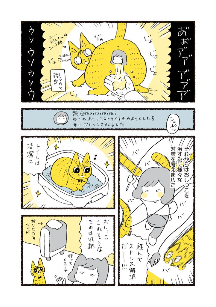 ねこのおしっこストライキに苦戦した話 
