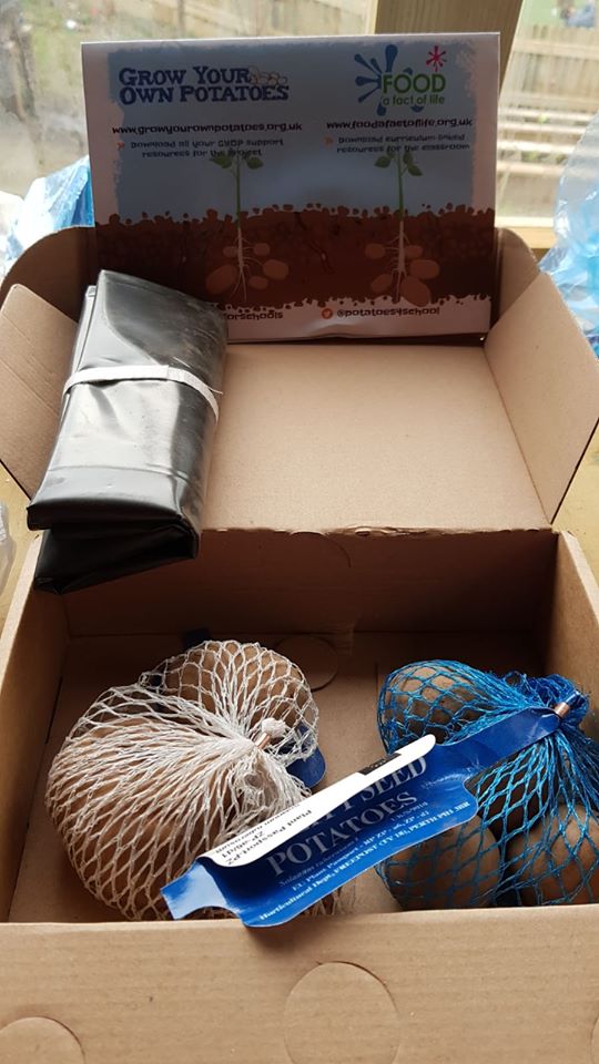 The Cavendish School tweet media