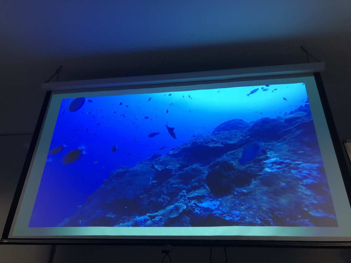 NaomiMGardiner's tweet photo. @GFGalbraith Gemma teaching the next gen of Phd students, managers, communicators et al, all about awesome science on coral reef pinnacles. How do we design our surveys and solve the logistical challenges? #SuperstarsofSTEM #WomenInScience #WomenInScienceDay @jcu @JCUOIRS https://t.co/SrtRNQMcXD