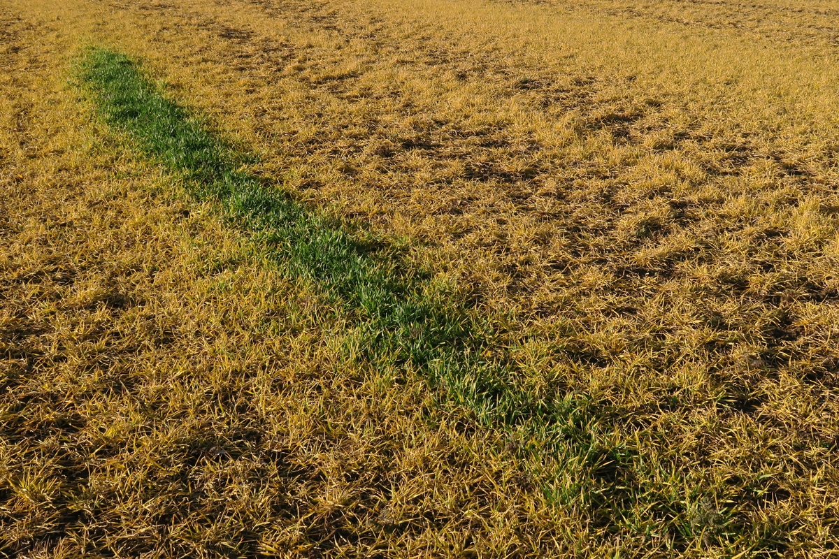 Demo in #Giessen: 2 % machen #Landwirtschaft, 98 % wissen wie es geht! Liebe Landwirte, vor 40 Jahren (Gründung der Grünen) hättet ihr verstehen können, dass nur #Nachhaltigkeit in eine sichere Zukunft führt. Was ist heute, nach 12 Jahren europäischer Düngemittelverordnung? @bmel