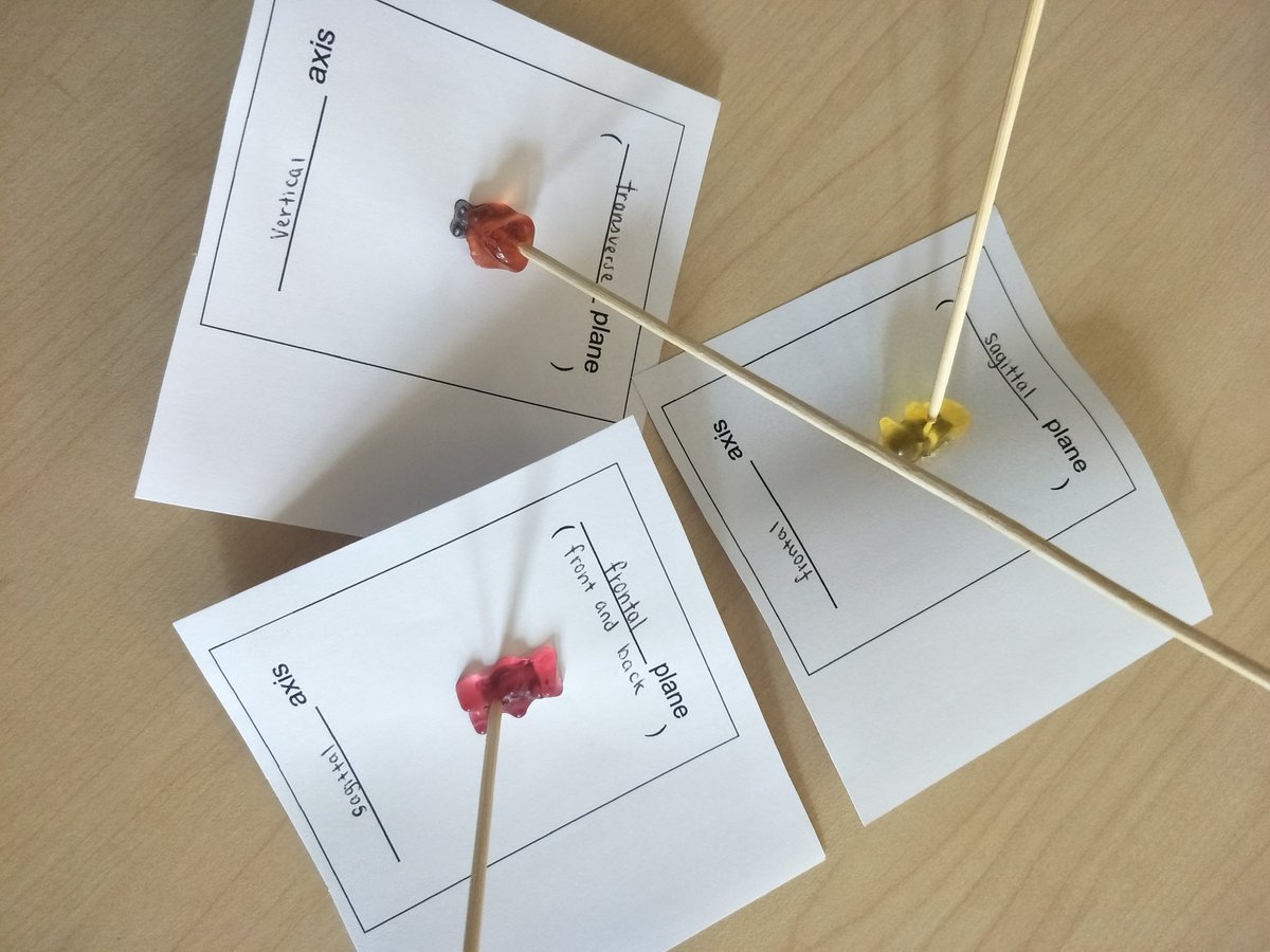 Planes and axes #gcsepe
Always great ideas on twitter!

#goldbears #his_learning

*lots of gold bears were harmed in this process!! 🙈
Funny how the students were traumatised by this, but not a care in the world when they eat them!!
