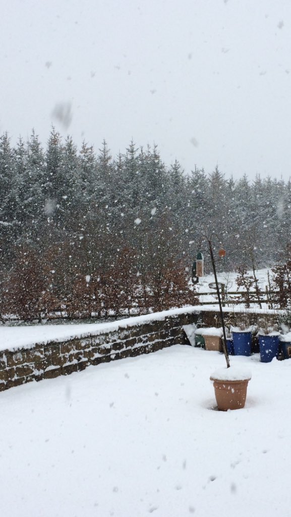 susankilkenny's tweet photo. @CarlowWeather Hammering it down again #feckoffsnow #CoonCoKilkenny https://t.co/1VVLxYlA4T