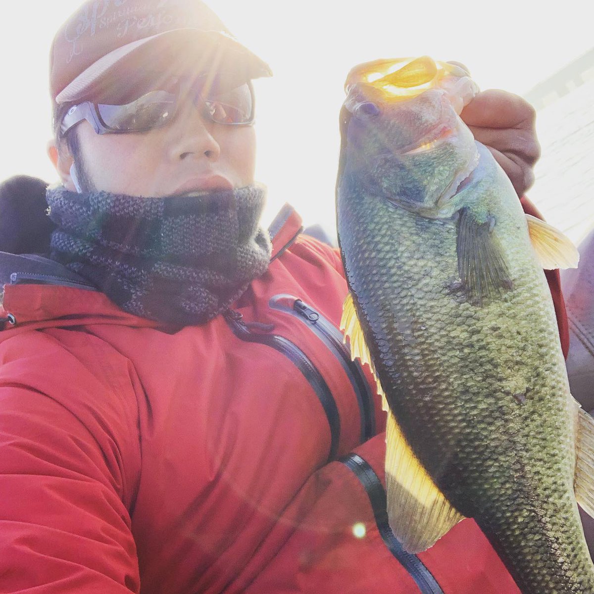 0227Seiya's tweet photo. ようやく釣らせてくれた遠賀川くん🤤

普段やらない最下流域で釣り方発見😁

立て続けに2本すっぽ抜けちゃったけど釣り方はわかった😤

初バスが1200オーバーは嬉しい🤩

#グーニーズワン
#RiseUnit
#78プラド 
#イーグル君
#ロデオライド https://t.co/76lYzrL83I