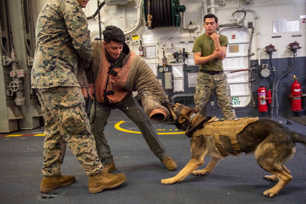 EXSTRKGRU7's tweet photo. Readiness around #ESG7 this week. #JointForce #Lethality, #ForgedByTheSea https://t.co/s8KhVDOWEo
