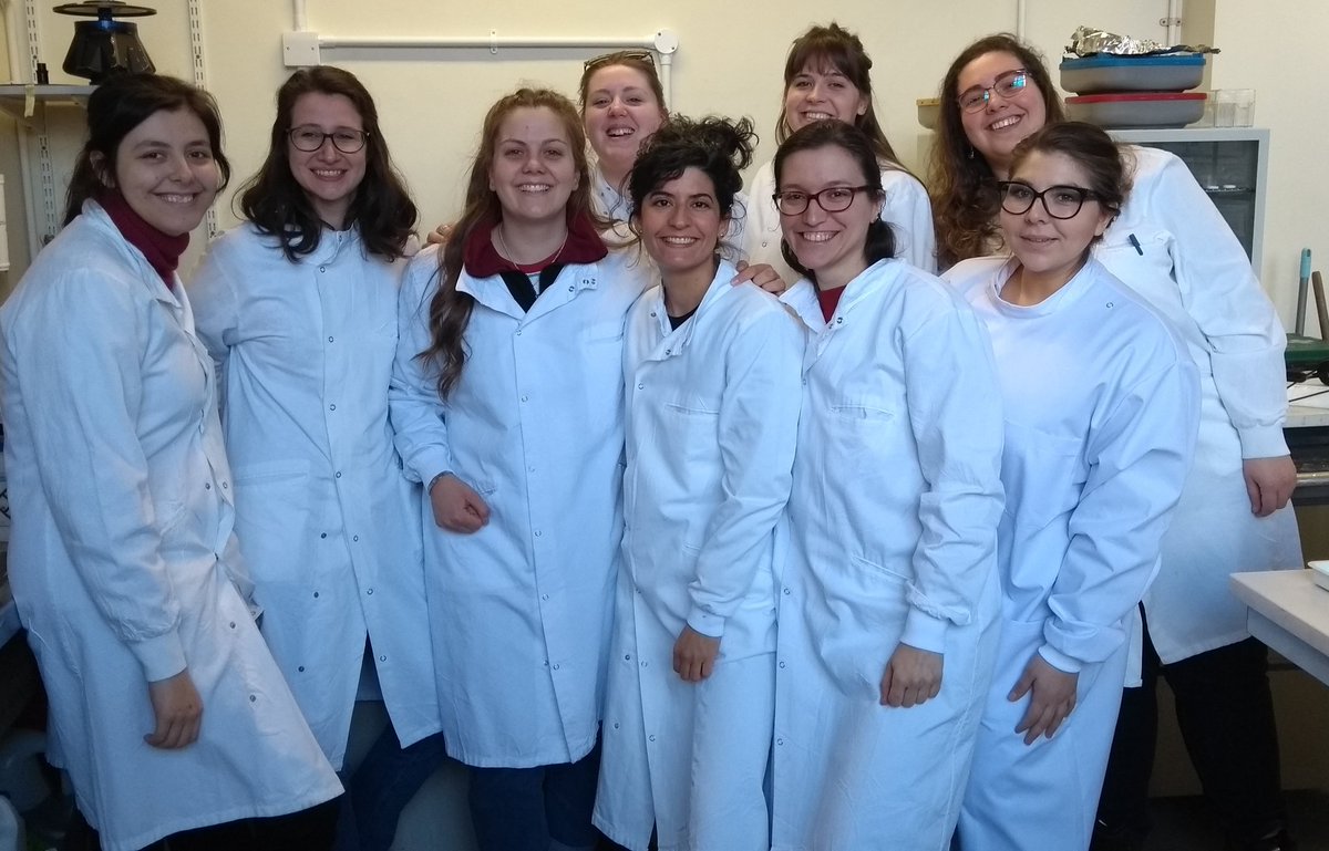 sciborgess's tweet photo. Happy @UN International Day of Women and Girls in Science! So proud we have such a strong female taskforce in our research group @perrimangroup @CMMBristol @andigax @JennaMShapiro #WomenInScience #WomenScienceDay #WomenInSTEM https://t.co/fMhWk6z9B8