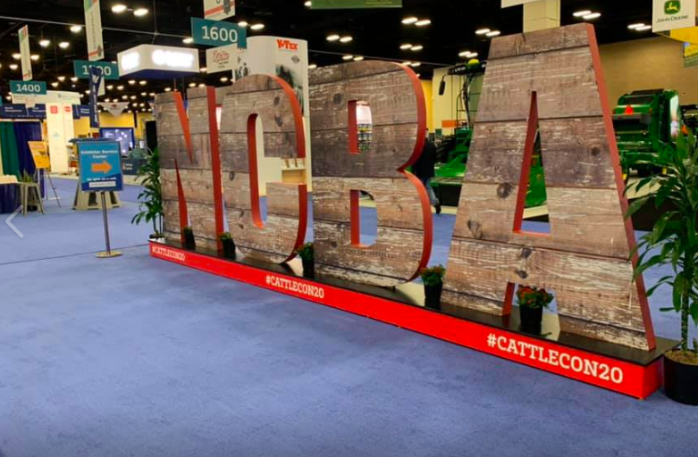 Expect Big U.S. Beef Exports to Korea, Japan in 2020

USMEF released its year-end numbers on export sales. The federation says beef exports are down slightly from 2018 (a record yr).However, they say demand is still very strong with big potential in 2020.
agweb.com/article/expect…