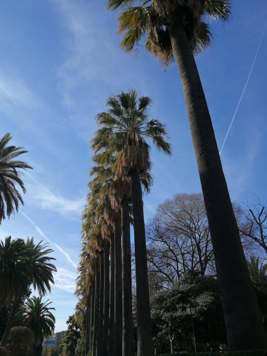 Valtournative tweet media