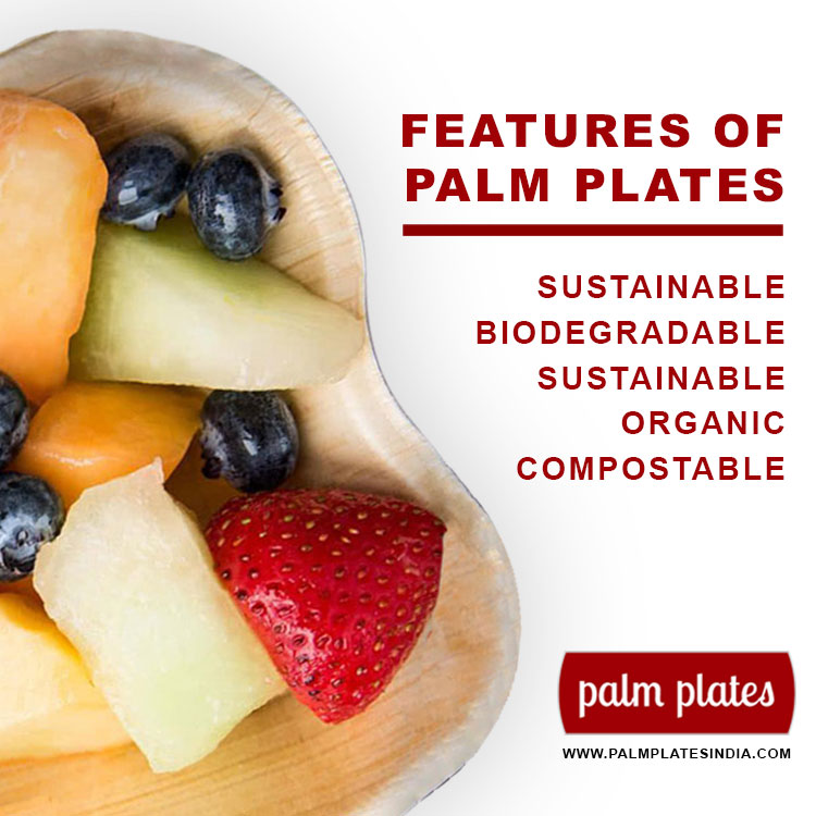 Features of Palm Plates, Its One Time use, Sustainable, Biodegradeable and many more,

Visit: palmplatesindia.com

#savetheanimals #nature #disposableplates #weddingplates #partyplates #thanksgivingplates #servingplaters #disposableserving #disposabledinerware
