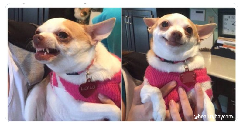 beautybay's tweet photo. Me skin before masking vs my skin after masking x https://t.co/5iurgD7Ie6